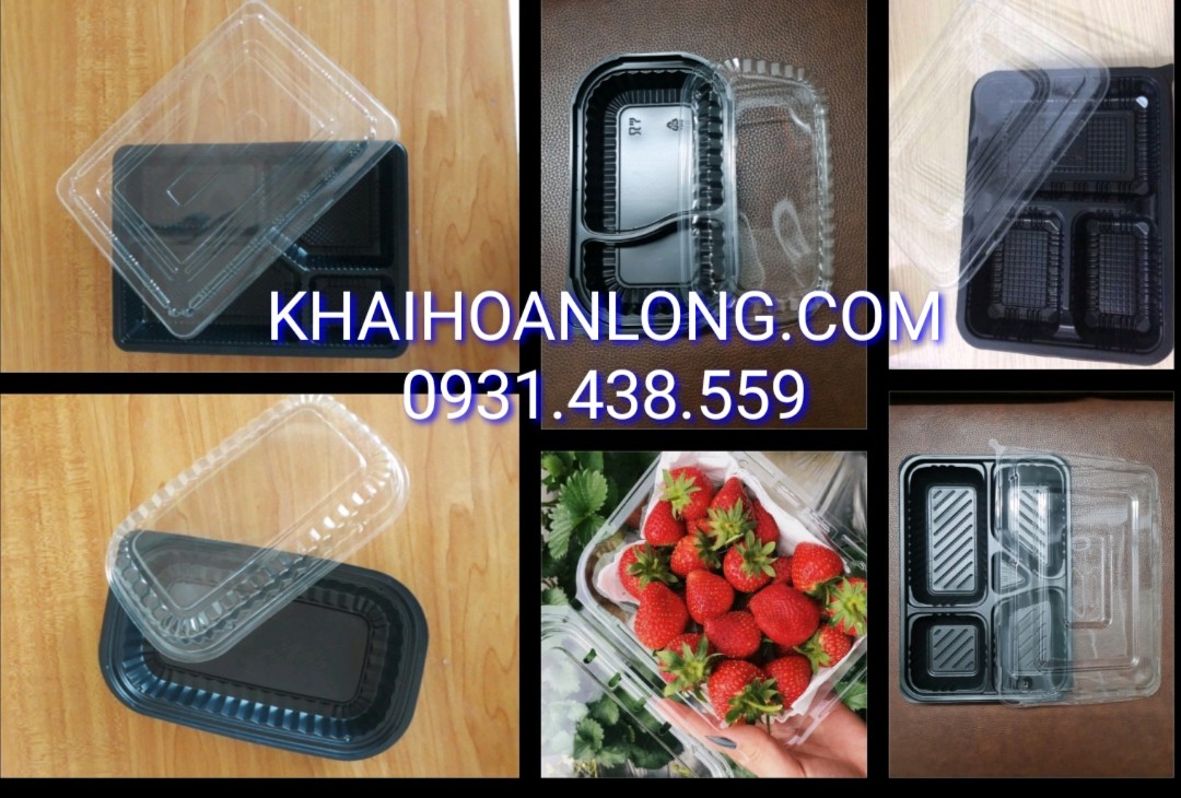 HỘP ĐỰNG CƠM